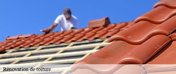 Rénovation de toiture