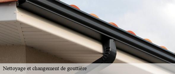 Nettoyage et changement de gouttière 